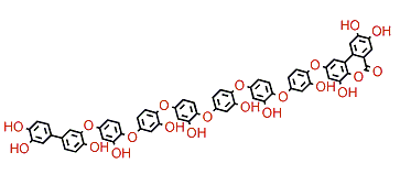 Cladophorol F